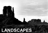 landscapes